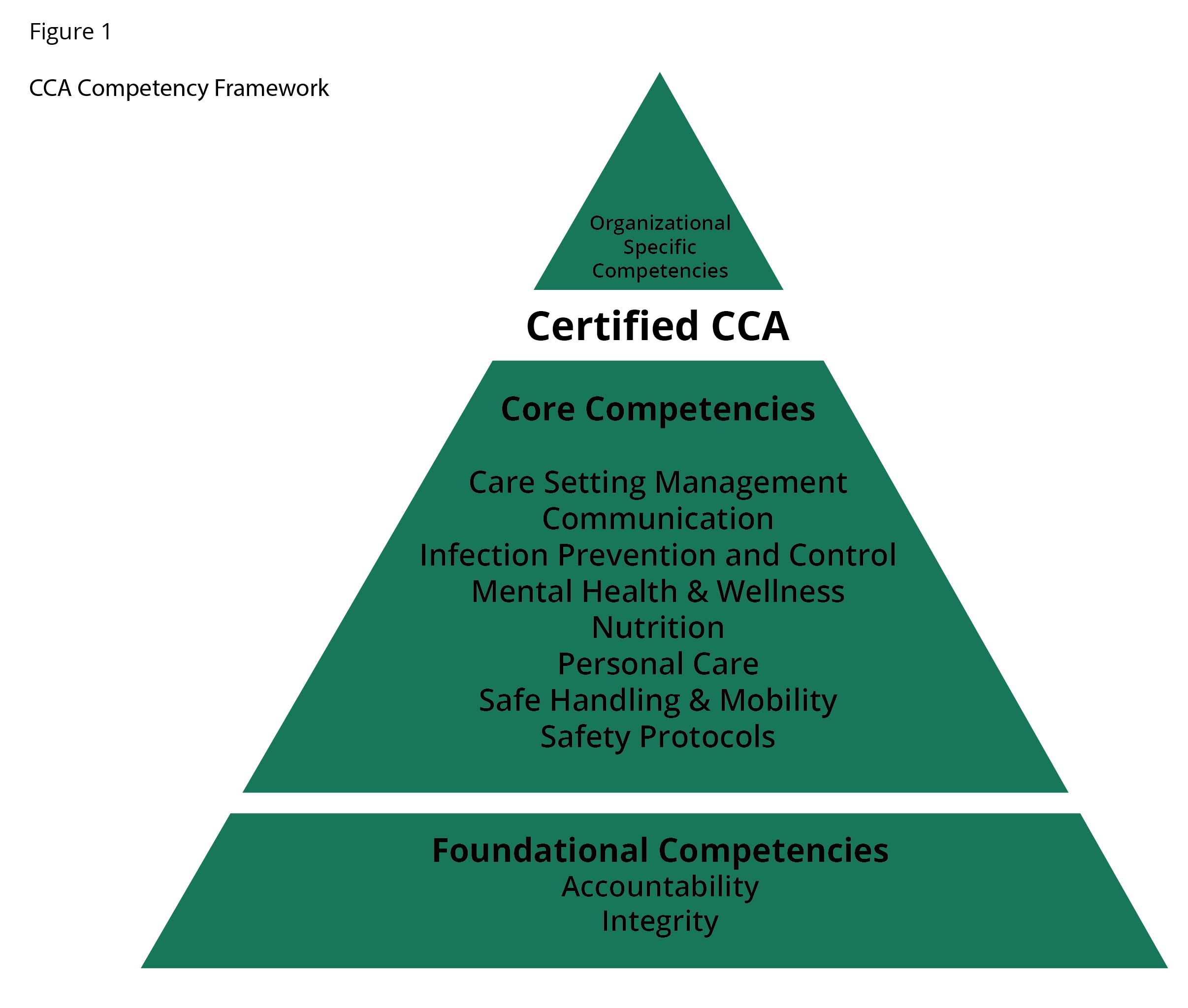 CCA Scope of Practice and Competency Framework Continuing Care Assistant Program